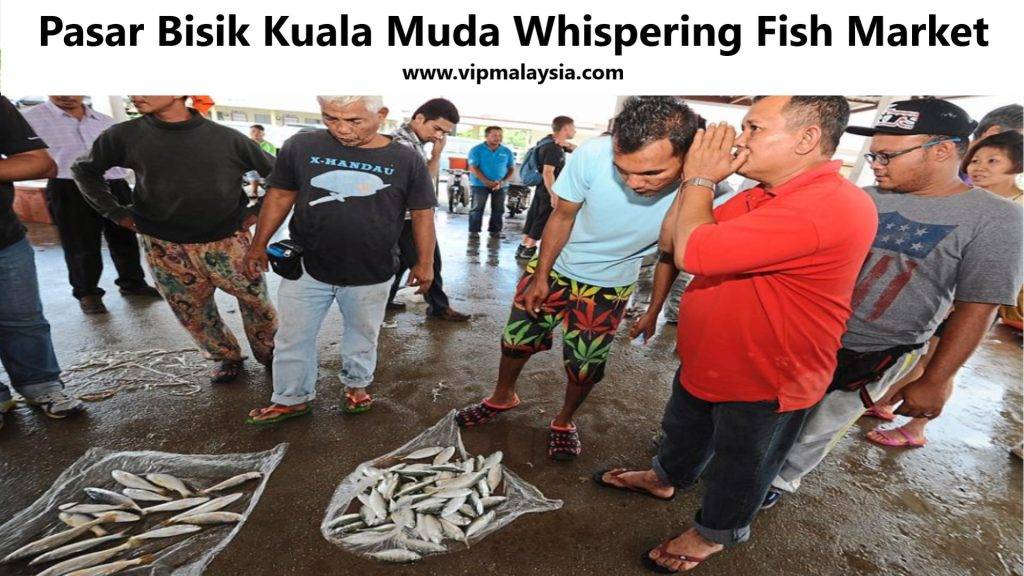 Pasar Bisik Kuala Muda Whispering Fish Market​