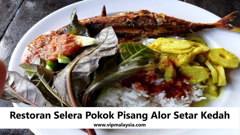 Restoran Selera Pokok Pisang Alor Setar Kedah