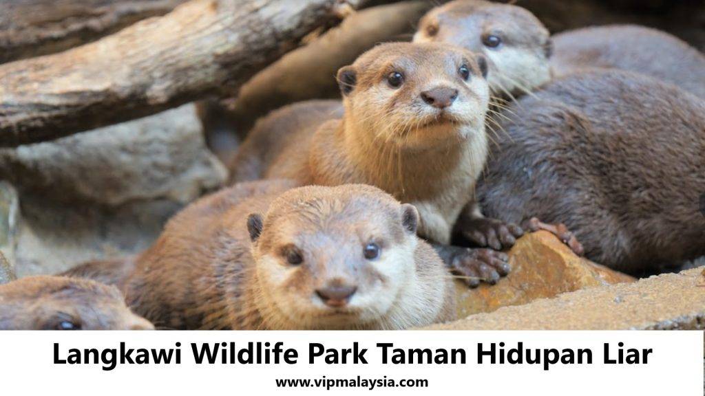 Langkawi Wildlife Park Taman Hidupan Liar