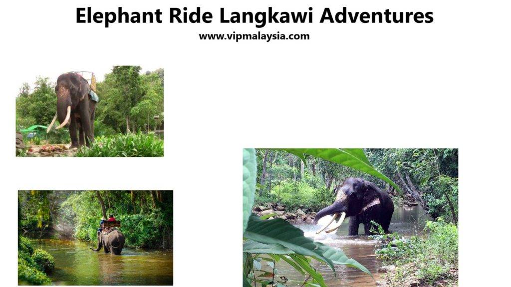 Elephant Ride in Langkawi, Malaysia