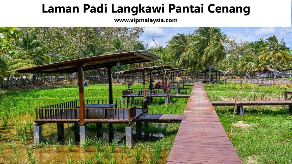 Laman Padi Langkawi Pantai Cenang Menu Restaurant