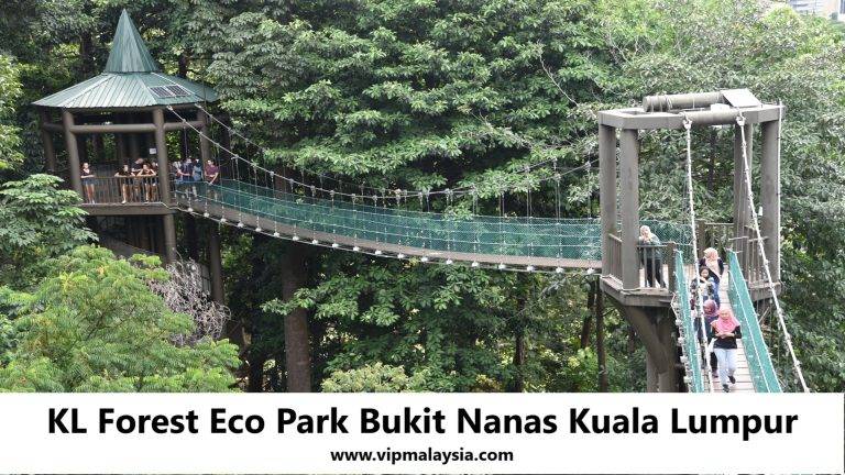 KL Forest Eco Park Bukit Nanas Kuala Lumpur