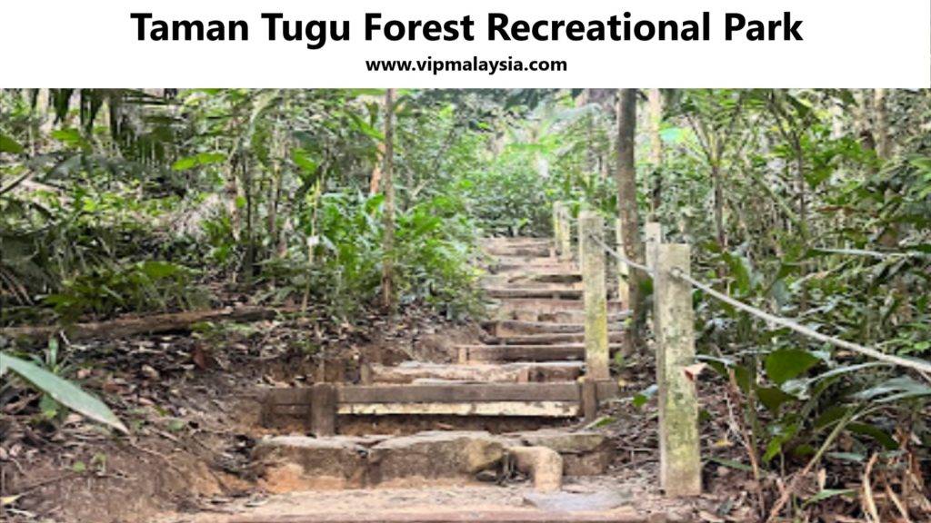 Taman Tugu Forest Kuala Lumpur Recreational Park