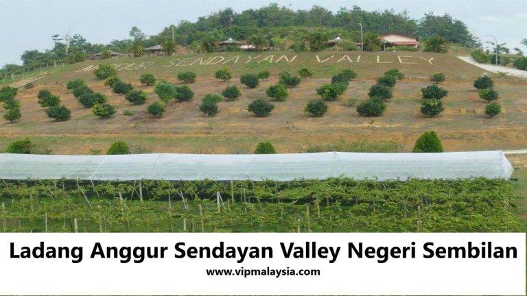 Ladang Anggur Sendayan Valley Negeri Sembilan