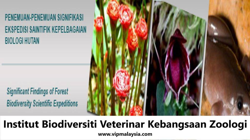 Institut Biodiversiti Veterinar Kebangsaan Zoologi