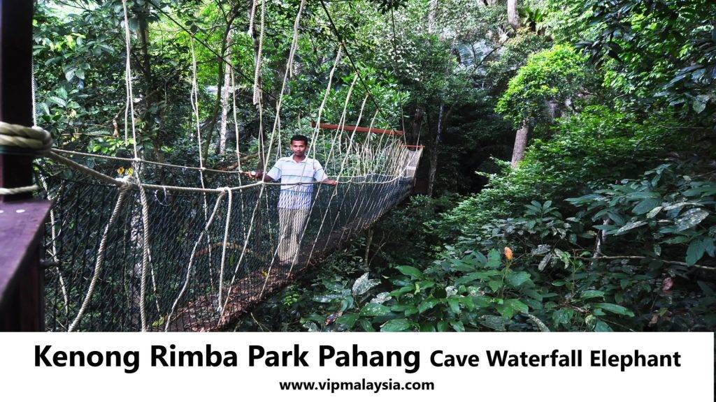 Kenong Rimba Park Pahang Cave Waterfall Elephant