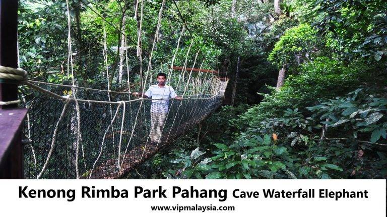 Kenong Rimba Park Pahang Cave Waterfall Elephant