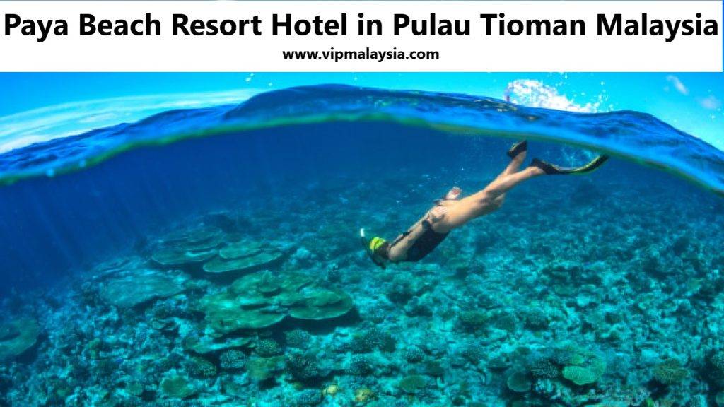 Paya Beach Resort Best Hotel in Pulau Tioman Malaysia