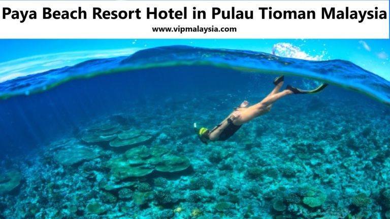 Paya Beach Resort Best Hotel in Pulau Tioman Malaysia