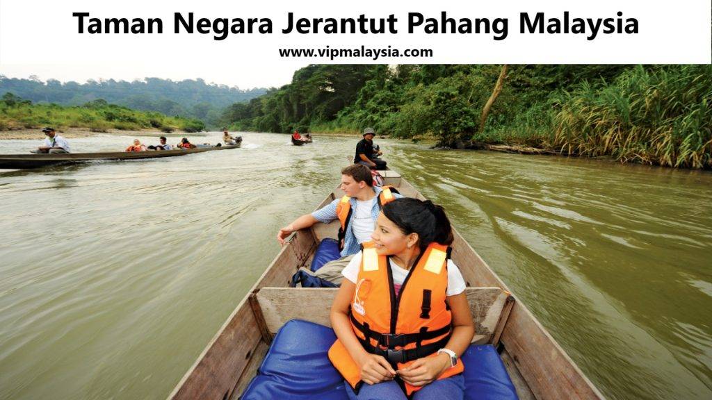 Taman Negara Jerantut Pahang Malaysia