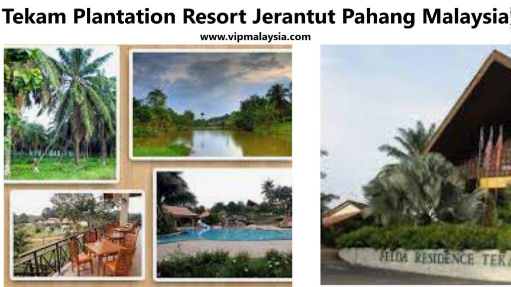 Tekam Plantation Resort Jerantut Pahang Malaysia