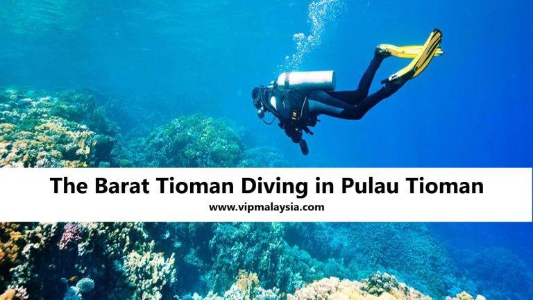 The Barat Tioman Scuba Diving in Pulau Tioman