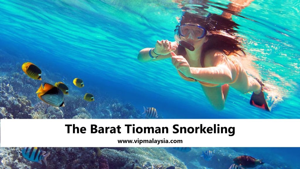 The Barat Tioman: Top Snorkeling Spots on Tioman Island
