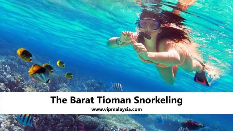 The Barat Tioman: Top Snorkeling Spots on Tioman Island
