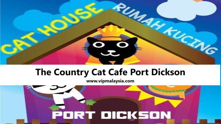 The Country Cat Cafe Port Dickson Best Place to Go