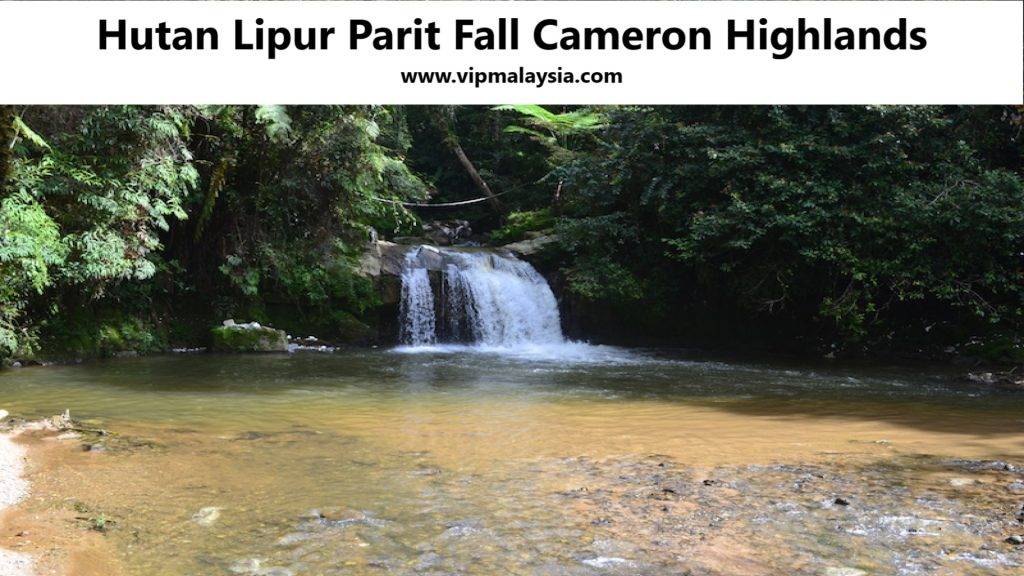 Hutan Lipur Parit Fall, Cameron Highlands, Malaysia