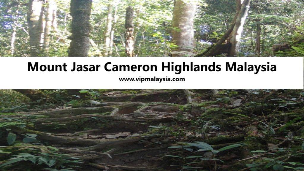 Mount Jasar, Cameron Highlands, Malaysia