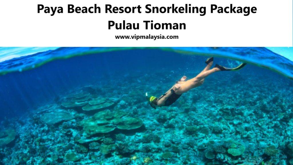 Paya Beach Resort: Snorkeling Package