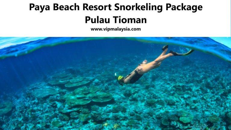 Paya Beach Resort: Snorkeling Package