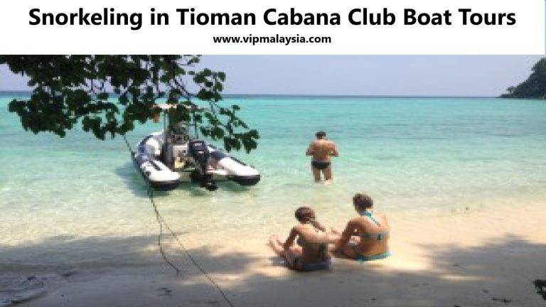 Snorkeling in Tioman Cabana Club Boat Tours Trips