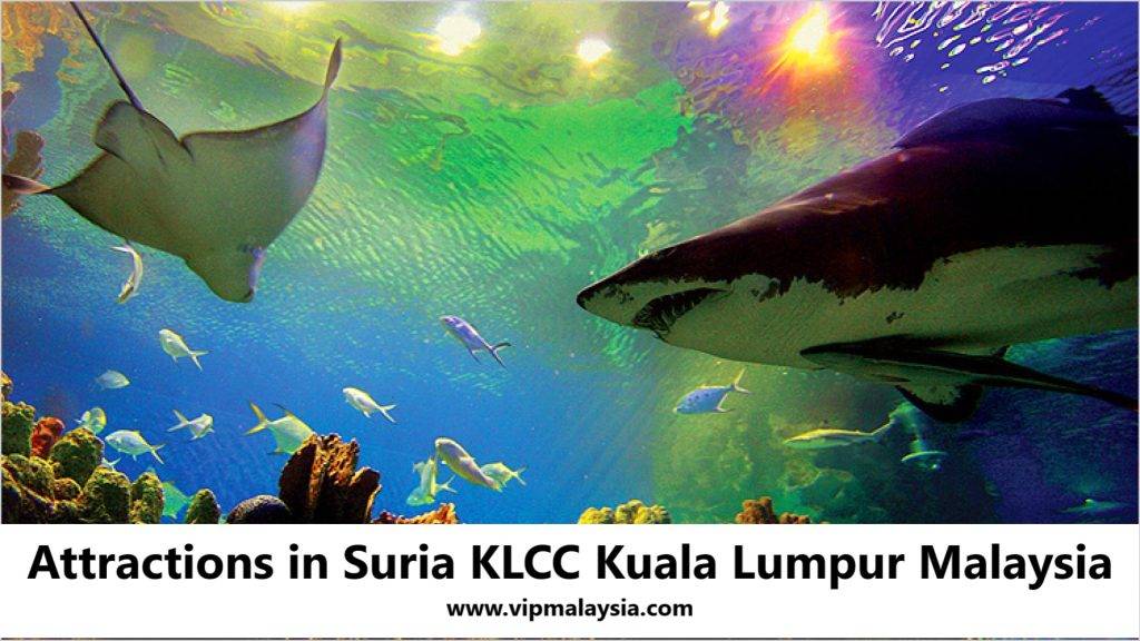 Attractions in Suria KLCC Kuala Lumpur Malaysia