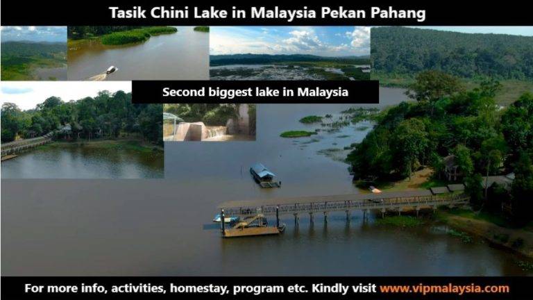 Best Activity in Lake Chini Pahang Malaysia