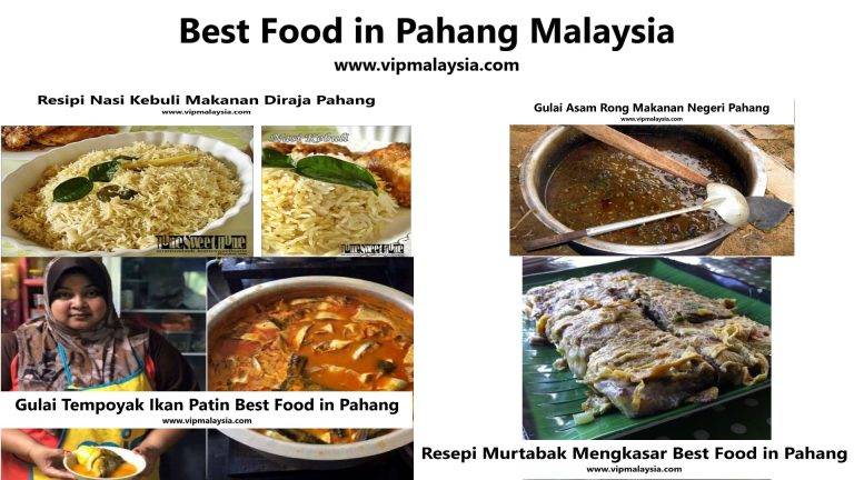 Best Food in Pahang Malaysia Gulai Tempoyak Puding