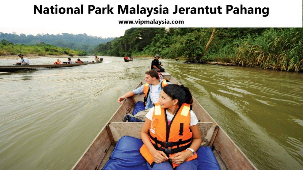National Park Malaysia Jerantut Pahang