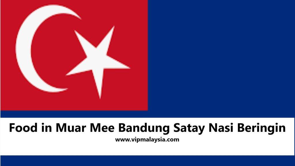 Best Food in Muar Mee Bandung Satay Nasi Beringin​