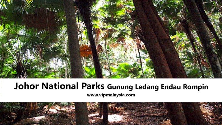 Johor National Parks Gunung Ledang Endau Rompin