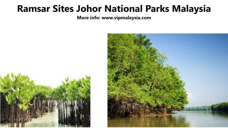 Ramsar Sites Johor National Parks Malaysia